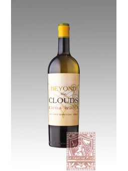 BEYOND THE CLOUDS 2020 - ELENA WALCH