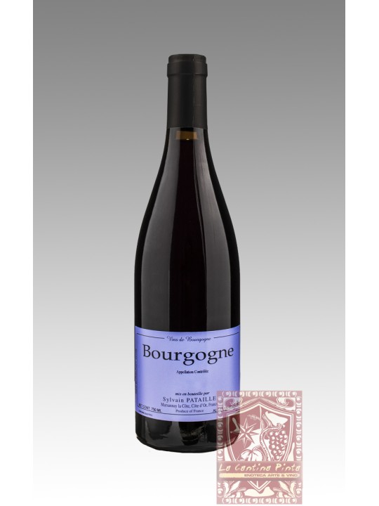 BOURGOGNE 2021 - SYLVAIN PATAILLE