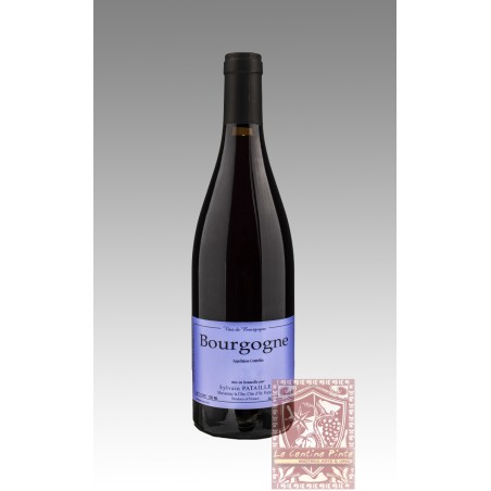 BOURGOGNE 2021 - SYLVAIN PATAILLE
