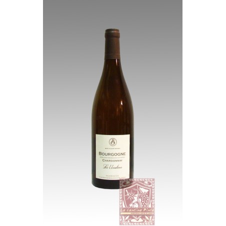 BOURGOGNE CHARDONNAY LES URSULINES 2020 - BOISSET
