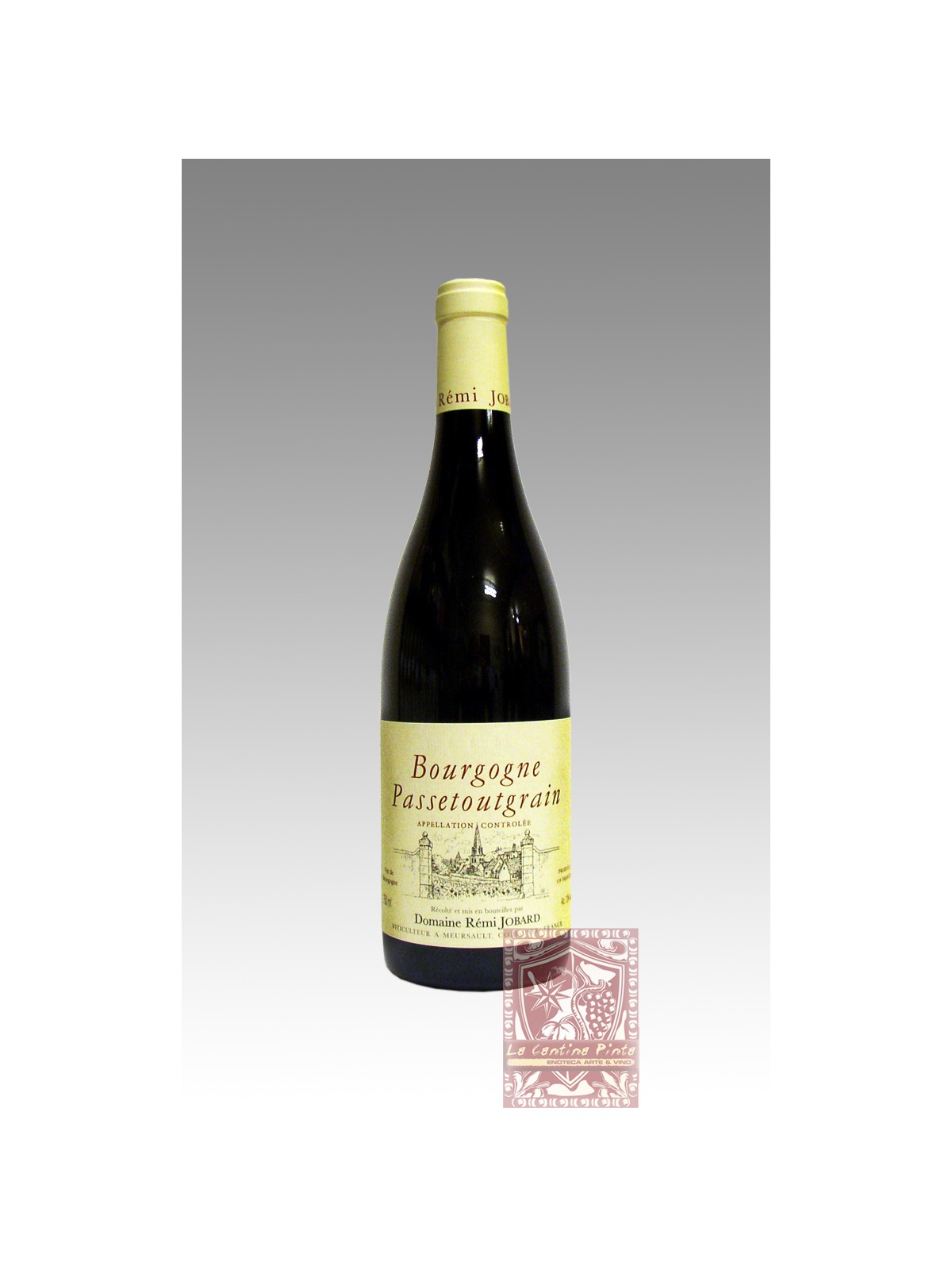 BOURGOGNE PASSETOUTGRAIN 2009 - REMI JOBARD