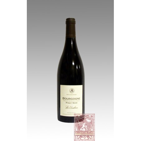 BOURGOGNE PINOT NOIR LES URSULINES 2020 - BOISSET