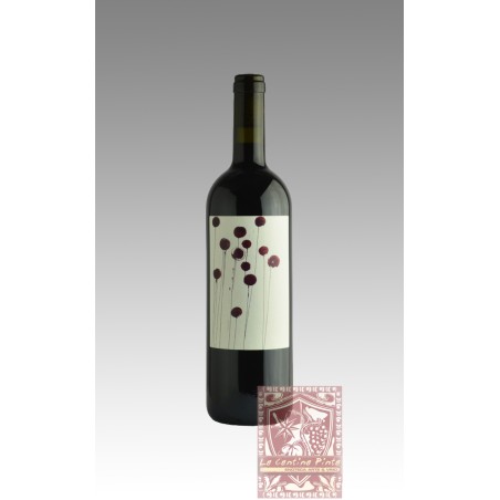 GATTOROSSO 2022 TOSCANA IGT - SAGONA
