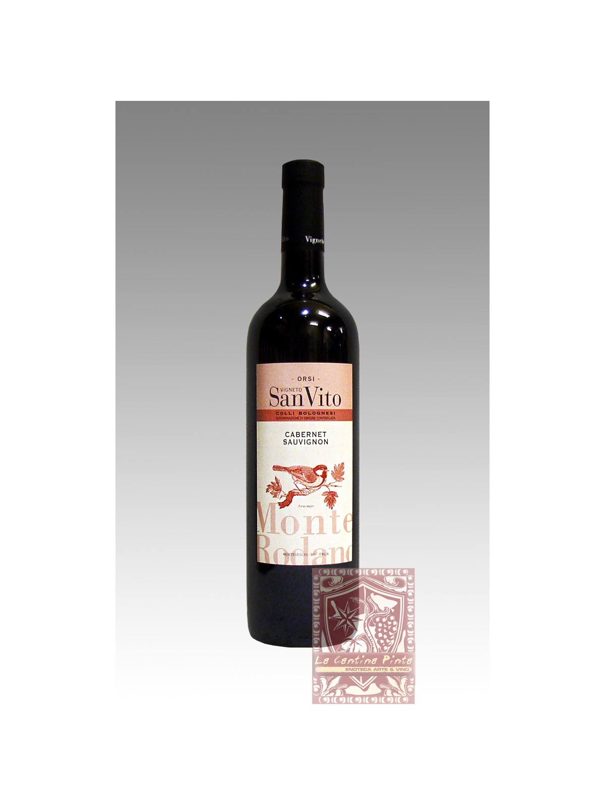 CABERNET SAUVIGNON 2008 MONTE RODANO VIGNETO SAN VITO - ORSI