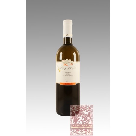 CAMPO DELLE OCHE 2019 ELEVATO 36 MESI SUI PROPRI LIEVITI- FATTORIA SAN LORENZO