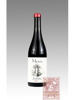 CAREMA SUMIE' 2020 - MURAJE