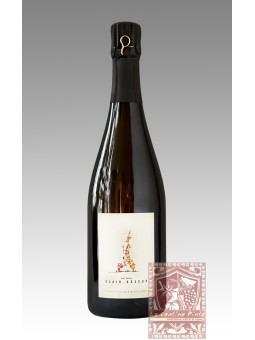 SALIMA E ALAIN CORDEIL CHAMPAGNE CLAIR OBSCUR 2020