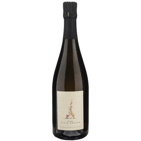 SALIMA E ALAIN CORDEIL CHAMPAGNE CLAIR OBSCUR 2020