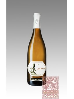 CAPO MARTINO 2005 - JERMANN