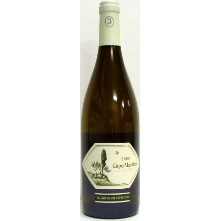 CAPO MARTINO 2005 - JERMANN