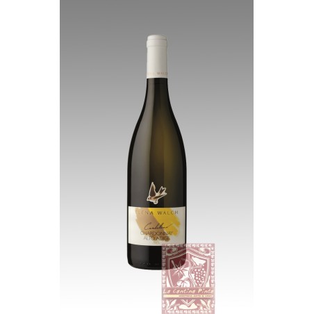 CARDELLINO CHARDONNAY 2021 - ELENA WALCH