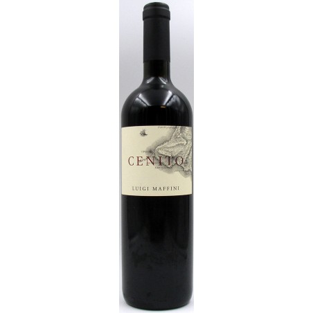 CENITO DEL CILENTO 2009 - LUIGI MAFFINI