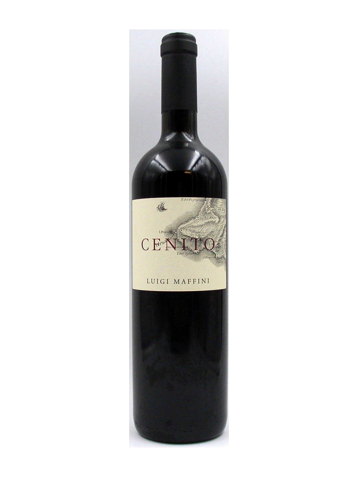 CENITO DEL CILENTO 2009 - LUIGI MAFFINI