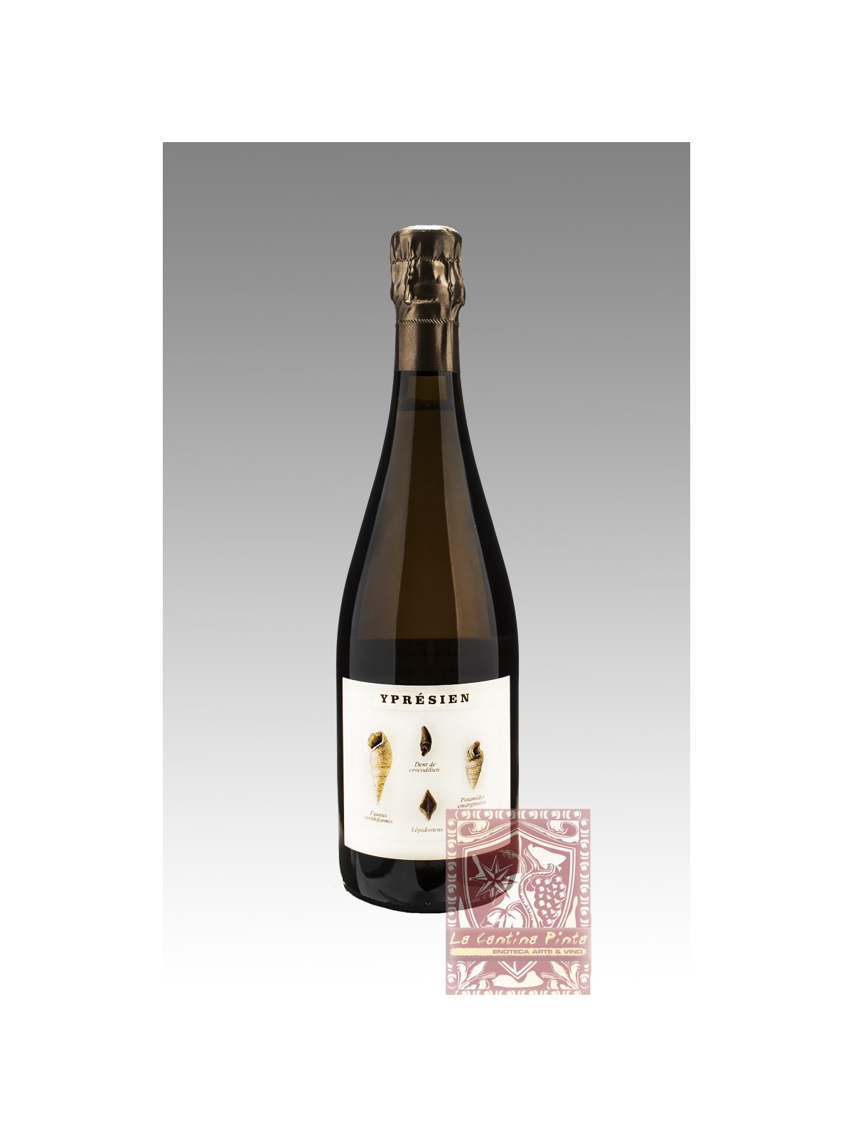 CHAMPAGNE BRUT NATURE YPRESIEN  V 18  LEGRAND-LATOUR