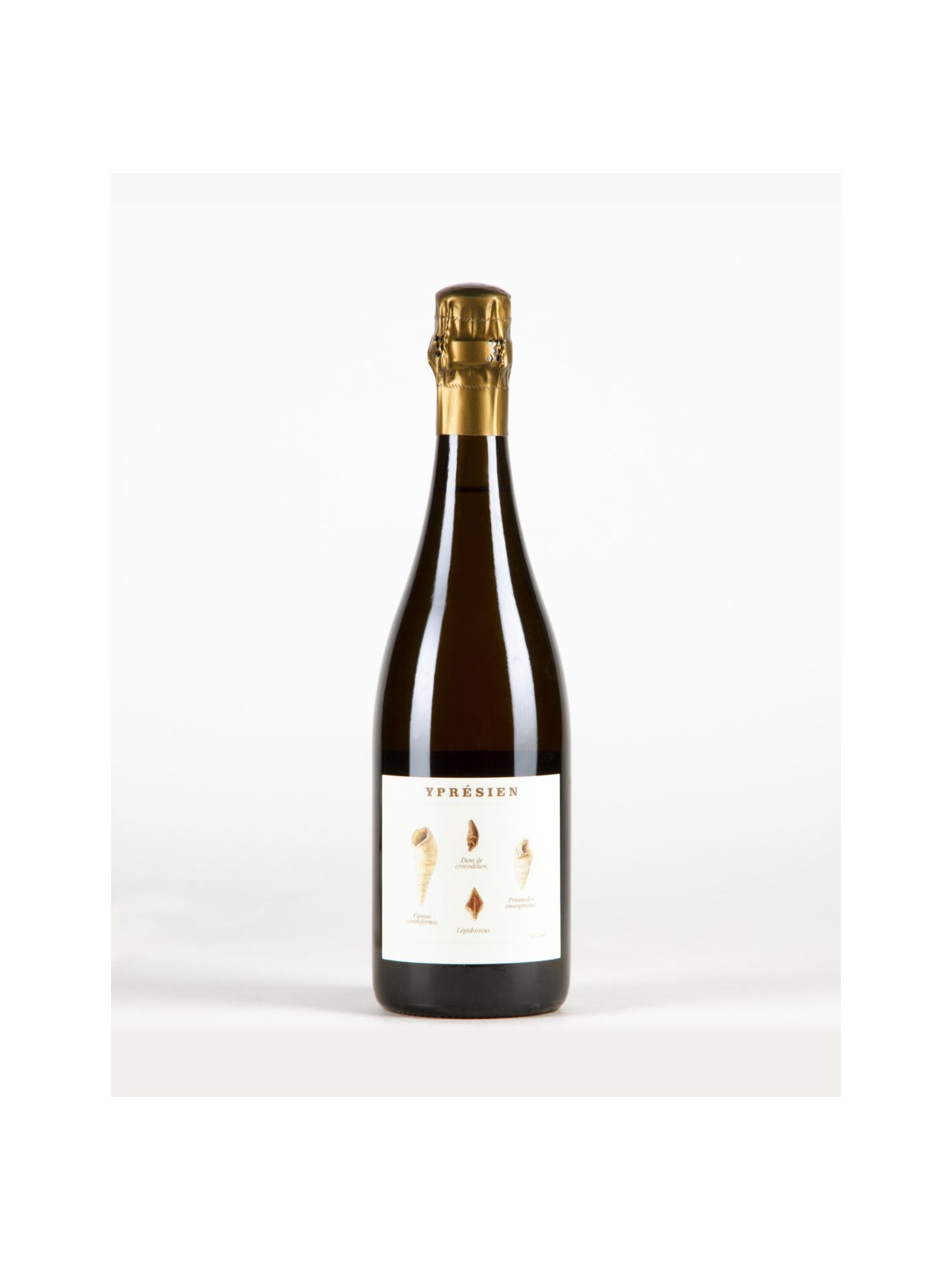 CHAMPAGNE BRUT NATURE YPRESIEN  V 19  LEGRAND-LATOUR