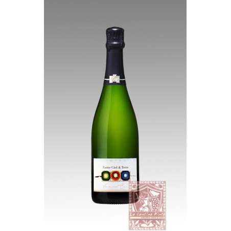 CHAMPAGNE CUVEE "ENTRE CIEL ET TERRE" BRUT BLANC DE NOIRS BRUT- FRANCOISE BEDEL