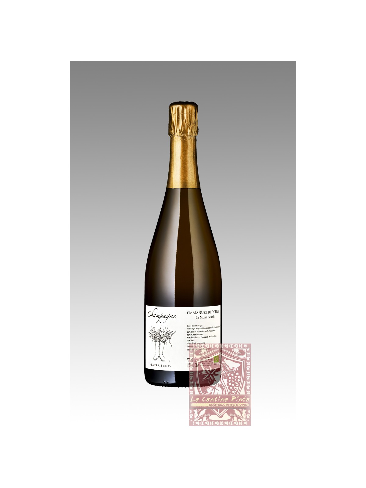 CHAMPAGNE EMMANUEL BROCHET  LE MONT BENOIT V 2019   EXTRA BRUT