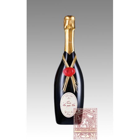 CHAMPAGNE GRAND CRU LE PETIT CLOS BRUT 2010 - JEAN VESSELLE