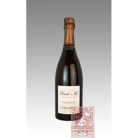CHAMPAGNE LES BEAUX REGARDS 2018  BLANC DE BLANCS EXTRA BRUT BERECHE ET FILS
