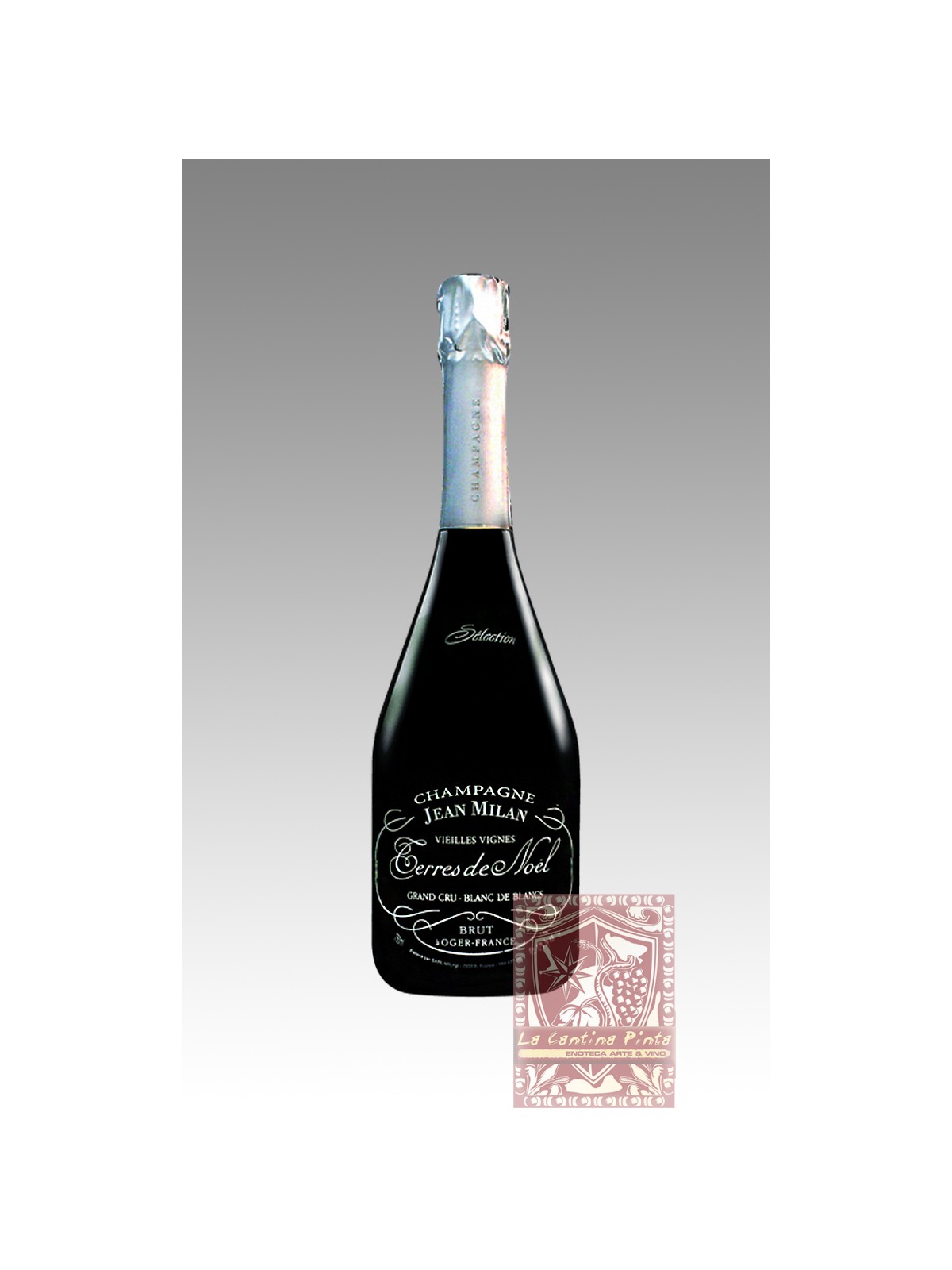CHAMPAGNE TERRE DE NOEL VIEILLES VIGNES 2008  GRAND CRU BLANC DE BLANCS BRUT - JEAN MILAN