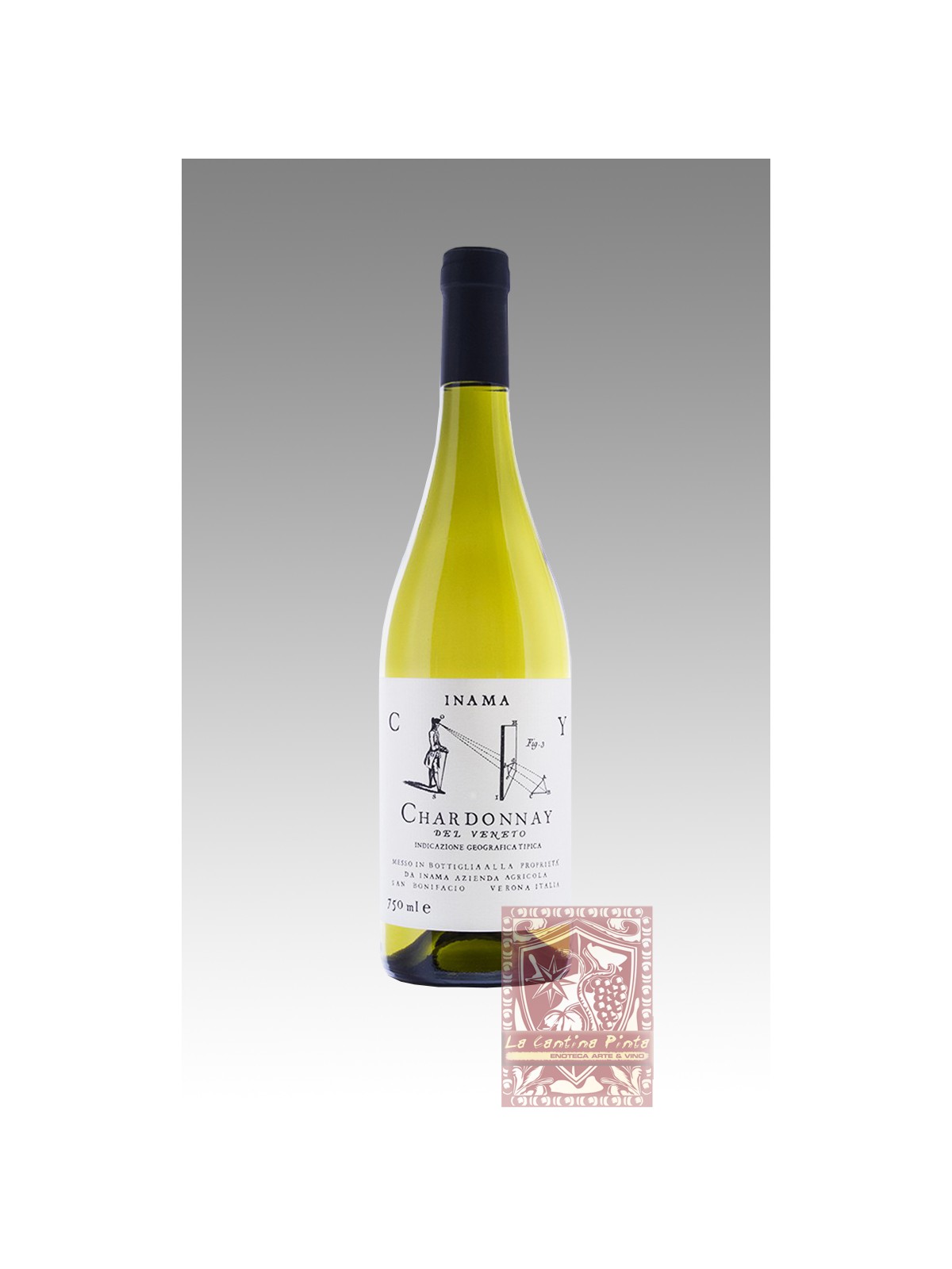 CHARDONNAY DEL VENETO 2021 - INAMA