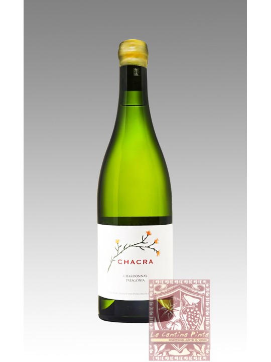 CHARDONNAY PATAGONIA 2022 - BODEGA CHACRA, PATAGONIA