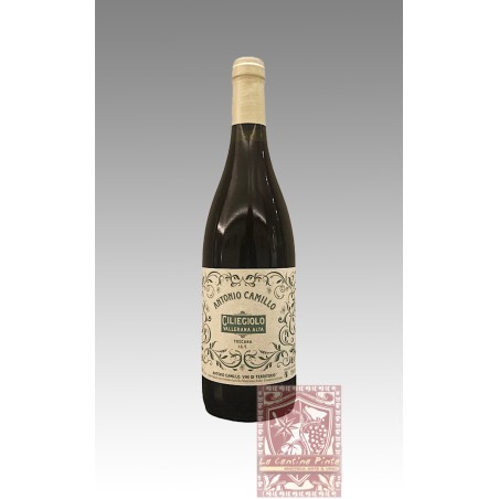 CILIEGIOLO VALLERANA ALTA 2020 - ANTONIO CAMILLO