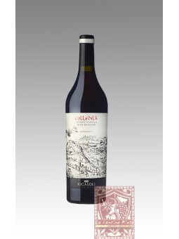 COLLEDILA' CHIANTI CLASSICO GRAN SELEZIONE 2019- BARONE RICASOLI