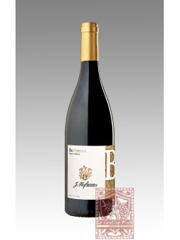 PINOT BIANCO BARTHENAU 2008 VIGNA SAN MICHELE - HOFSTATTER