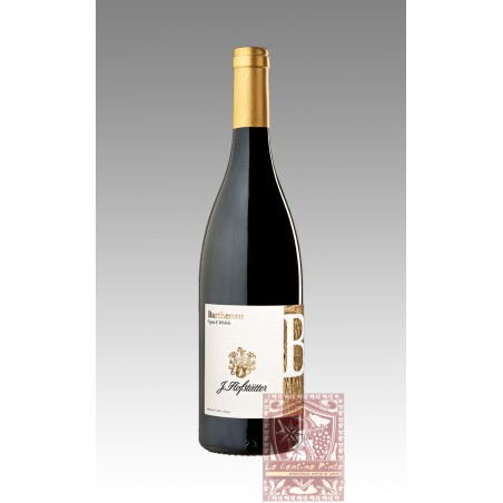 PINOT BIANCO BARTHENAU 2008 VIGNA SAN MICHELE - HOFSTATTER