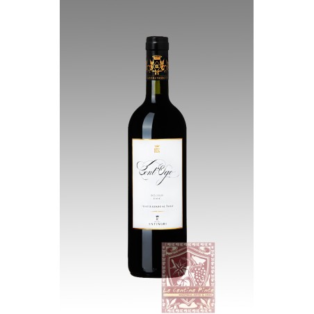 CONT'UGO 2021 - TENUTA GUADO AL TASSO