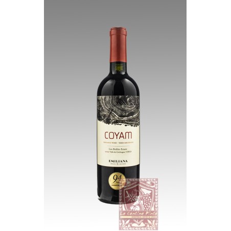 COYAM 2020 COLCHAGUA VALLEY - VINEDOS EMILIANA (bio)