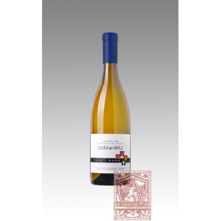 DERTHONA TIMORASSO COSTA DEL VENTO 2022 - VIGNETI MASSA