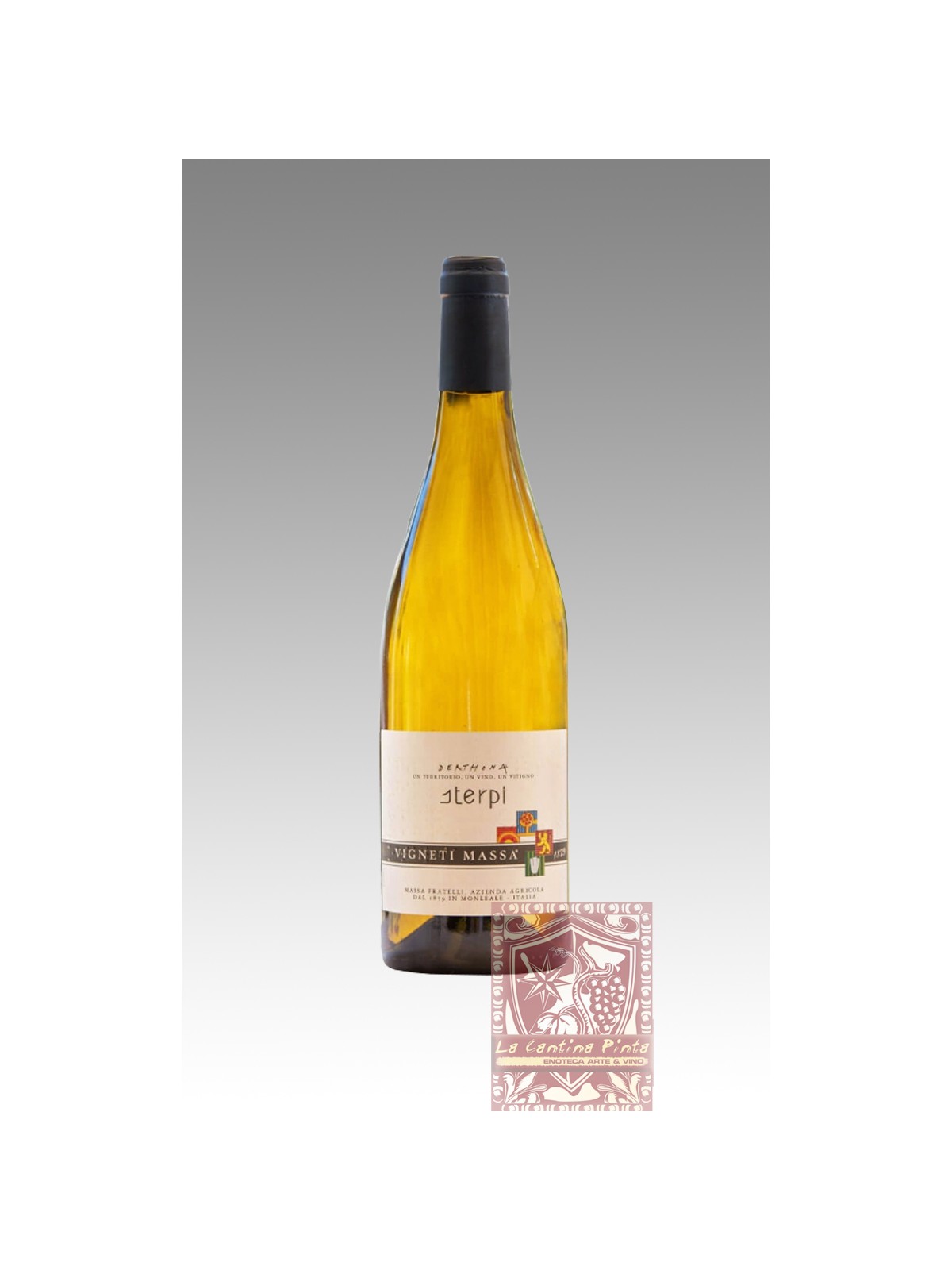 DERTHONA TIMORASSO STERPI 2022 - VIGNETI MASSA