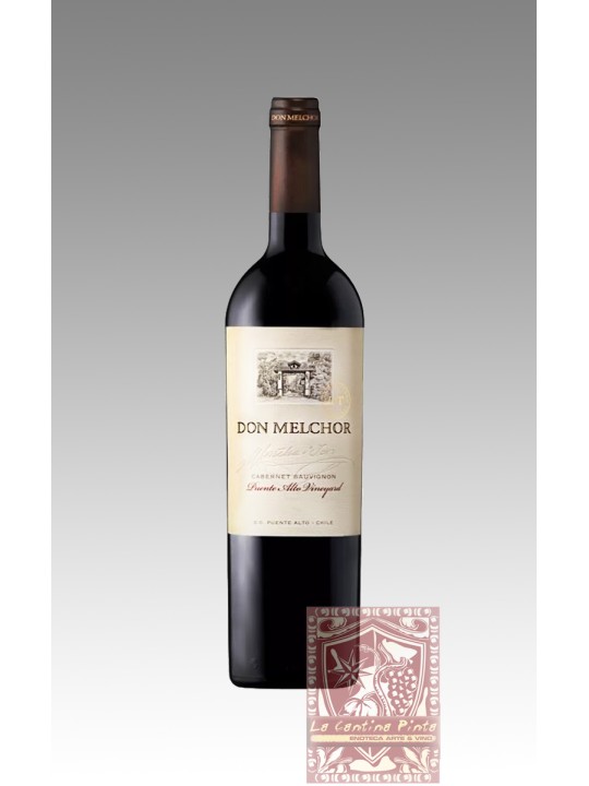 DON MELCHOR CABERNET SAUVIGNON 2020 - CONCHA Y TORO