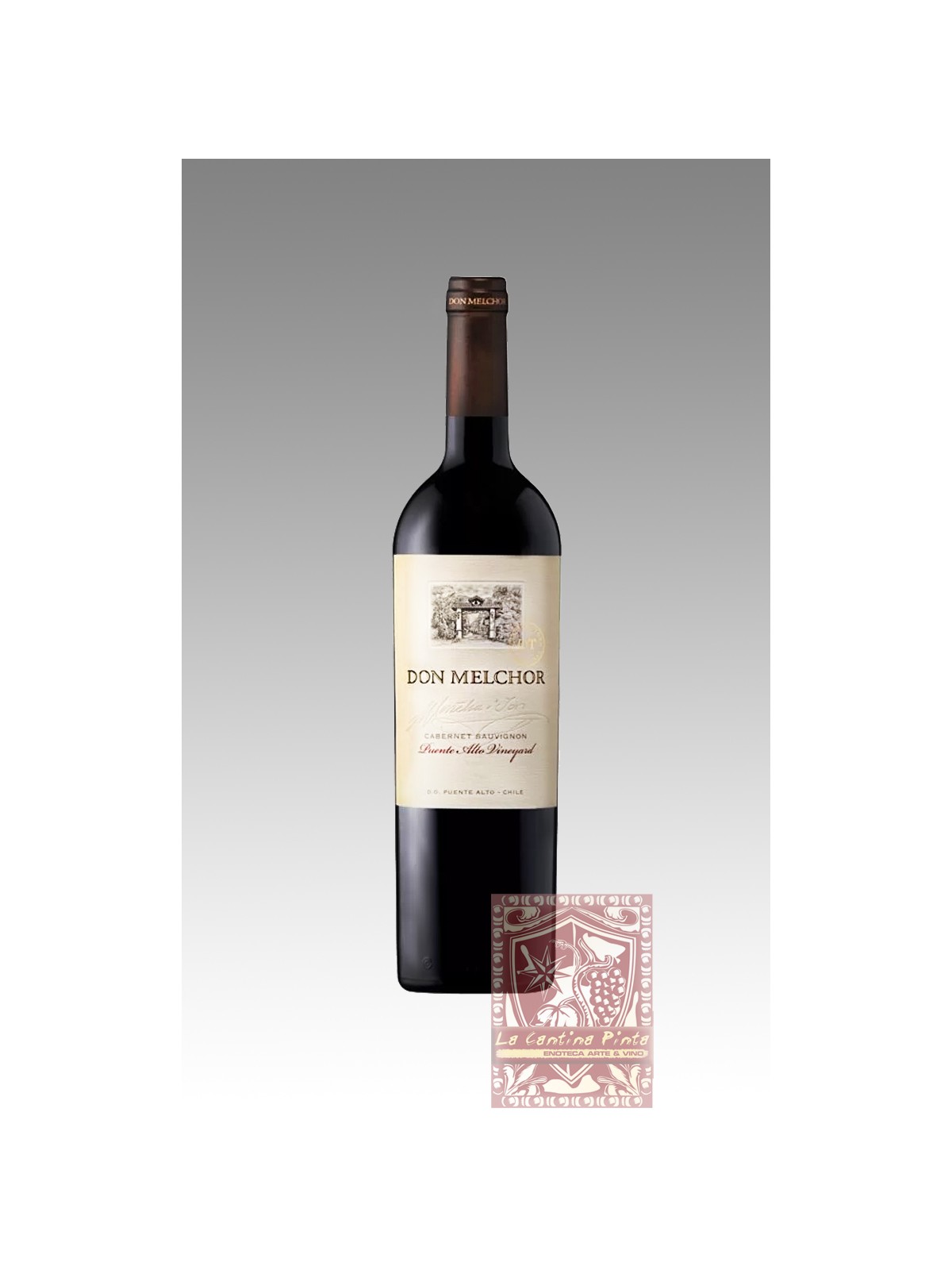 DON MELCHOR CABERNET SAUVIGNON 2020 - CONCHA Y TORO