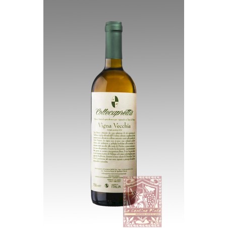 VIGNA VECCHIA 2023 TREBBIANO UMBRIA IGT - COLLECAPRETTA