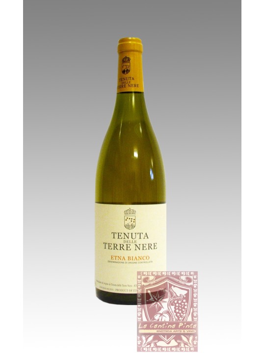 ETNA BIANCO 2021 - TENUTA DELLE TERRE NERE