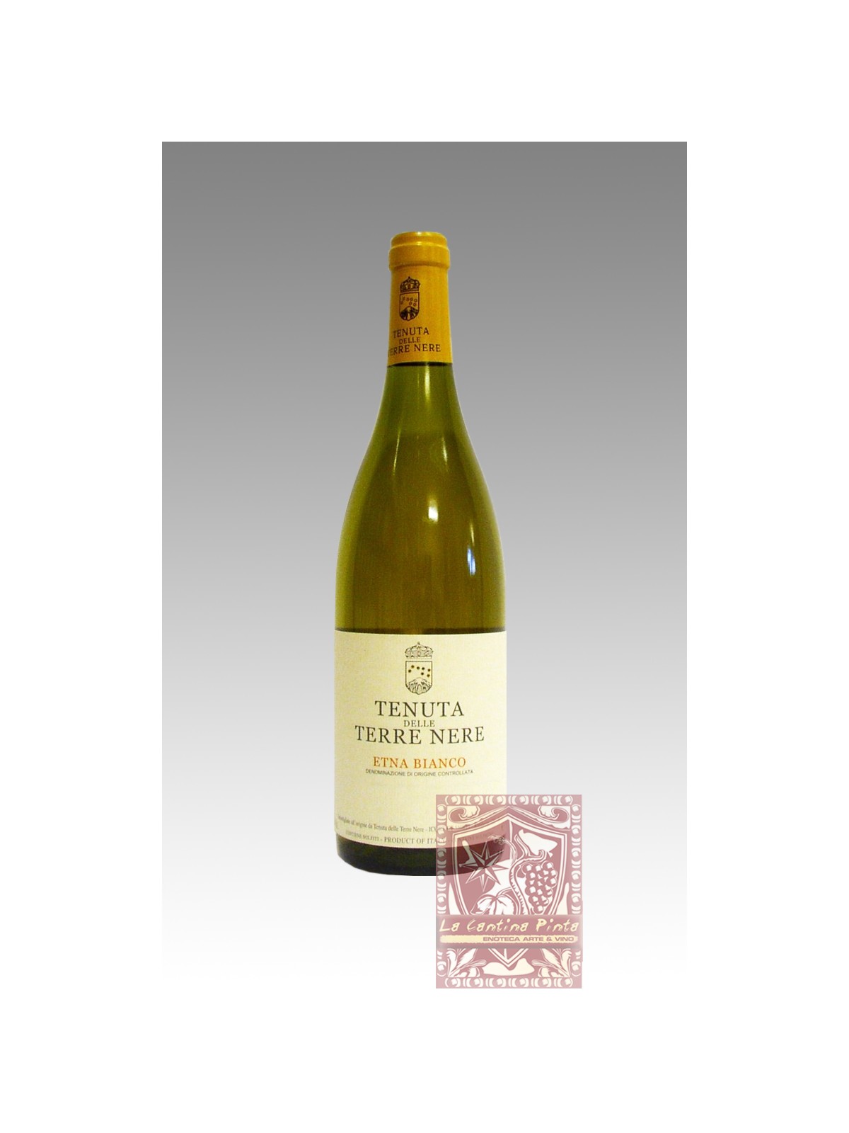 ETNA BIANCO 2021 - TENUTA DELLE TERRE NERE