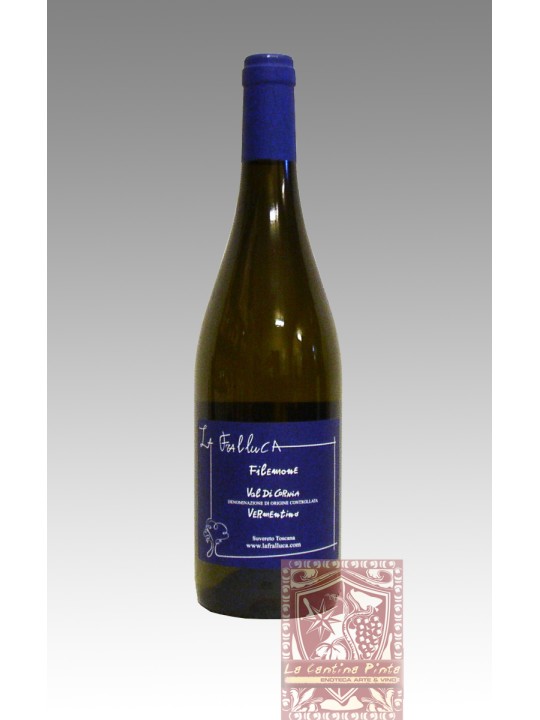 FILEMONE 2023 VERMENTINO VAL DI CORNIA - LA  FRALLUCA