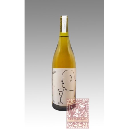 FUORI DAL CANALE 2021 TOSCANA BIANCO IGT - SAGONA