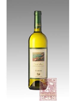 FURORE BIANCO FIORDUVA 2022 - MARISA CUOMO