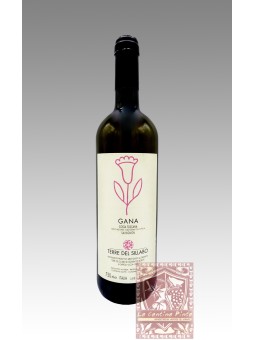 GANA SAUVIGNON BLANC 2013 - TERRE DEL SILLABO