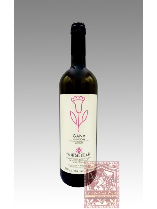 GANA SAUVIGNON 2013 - TERRE DEL SILLABO