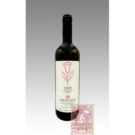 GANA SAUVIGNON 2013 - TERRE DEL SILLABO