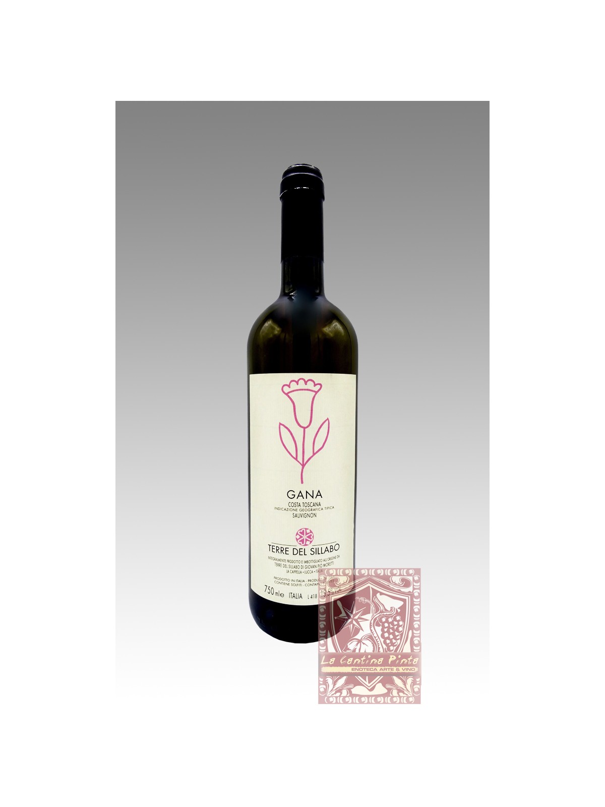 GANA SAUVIGNON 2013 - TERRE DEL SILLABO