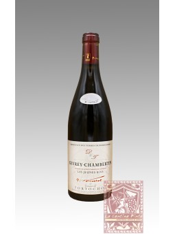 GEVREY-CHAMBERTIN LES JEUNES ROIS 2010 - DOMAINE TORTOCHOT