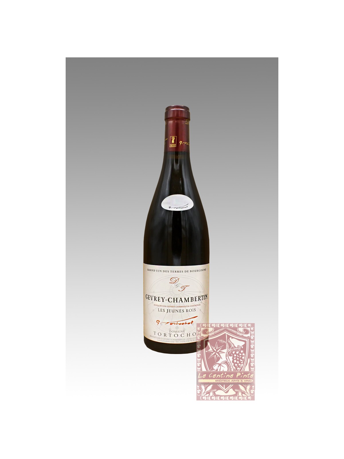 GEVREY-CHAMBERTIN LES JEUNES ROIS 2010 - DOMAINE TORTOCHOT