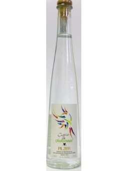 GRAPPA DI CHARDONNAY PILZER