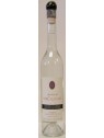 GRAPPA DI TORCALVANO